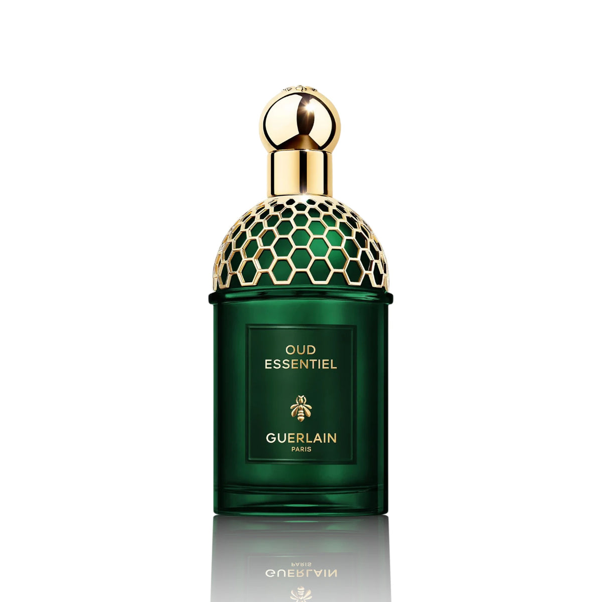 Absolus Allegoria Oud Essentiel EDP