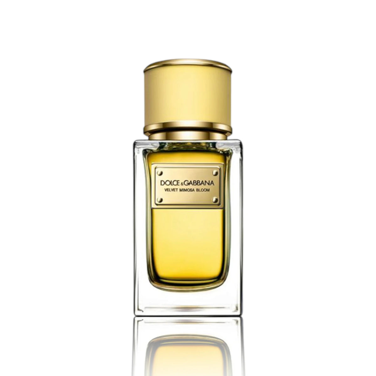 Dolce & Gabbana Velvet Mimosa Bloom EDP